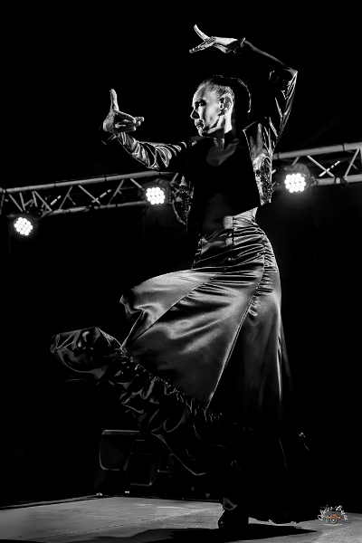 flamenco (104)